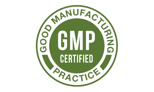 Java Brain gmp certified